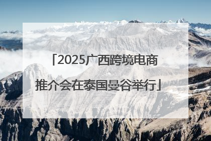 2025广西跨境电商推介会在泰国曼谷举行