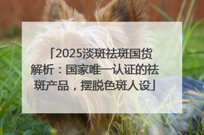 2025淡斑祛斑国货解析：国家唯一认证的祛斑产品，摆脱色斑人设