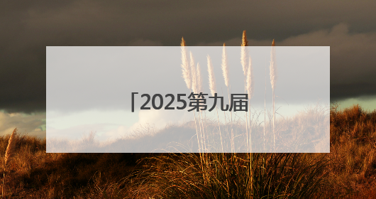 2025第九届中国（印尼）出口品牌联展开幕