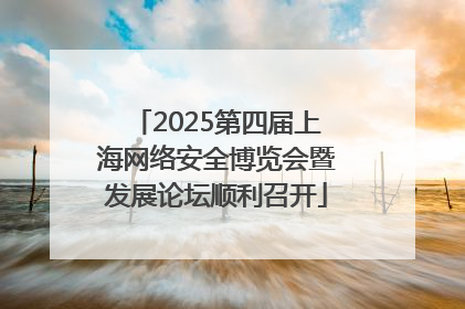 2025第四届上海网络安全博览会暨发展论坛顺利召开