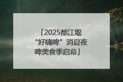 2025都江堰“好嗨啤”消夏夜啤美食季启幕