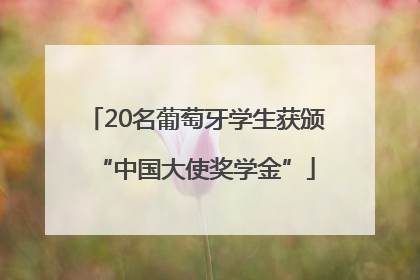 20名葡萄牙学生获颁“中国大使奖学金”