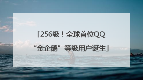 256级！全球首位QQ“金企鹅”等级用户诞生