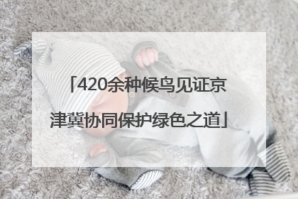 420余种候鸟见证京津冀协同保护绿色之道