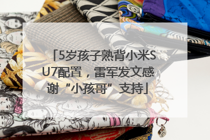 5岁孩子熟背小米SU7配置，雷军发文感谢“小孩哥”支持