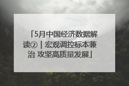 5月中国经济数据解读②｜宏观调控标本兼治 攻坚高质量发展
