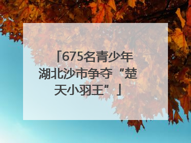 675名青少年湖北沙市争夺“楚天小羽王”