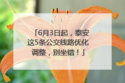 6月3日起，泰安这5条公交线路优化调整，别坐错！