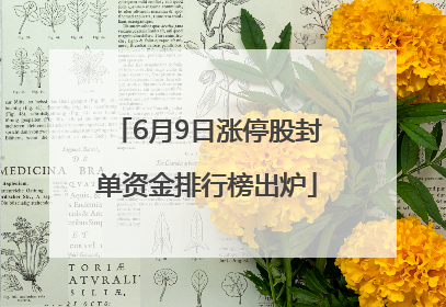 6月9日涨停股封单资金排行榜出炉