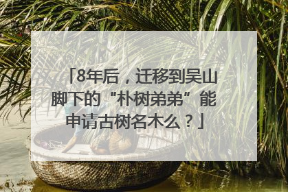 8年后，迁移到吴山脚下的“朴树弟弟”能申请古树名木么？