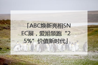 ABC焕新亮相SNEC展，爱旭领跑“25%”价值新时代