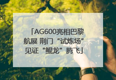 AG600亮相巴黎航展 荆门“试炼场”见证“鲲龙”腾飞
