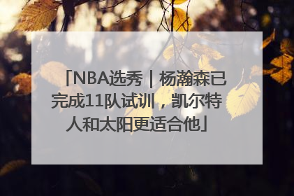 NBA选秀｜杨瀚森已完成11队试训，凯尔特人和太阳更适合他