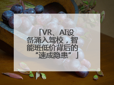 VR、AI设备涌入驾校，智能班低价背后的“速成隐患”